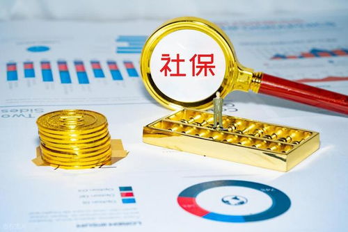 社保錢袋子誰掏空？強制繳費究竟保護誰？企業(yè)最終僅認這一招